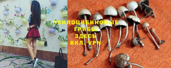 спайс Абинск