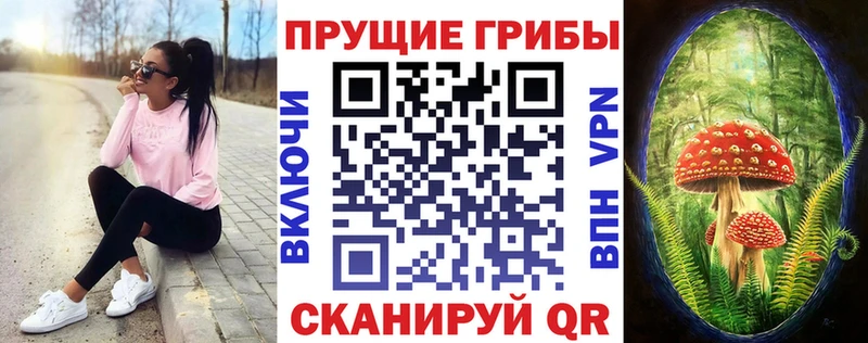 где можно купить Сертолово Галлюциногенные грибы мицелий